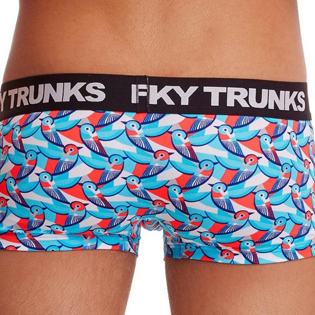 Funky Trunks Underwear Cotton Trunks Swallowed Up Boys Underwear