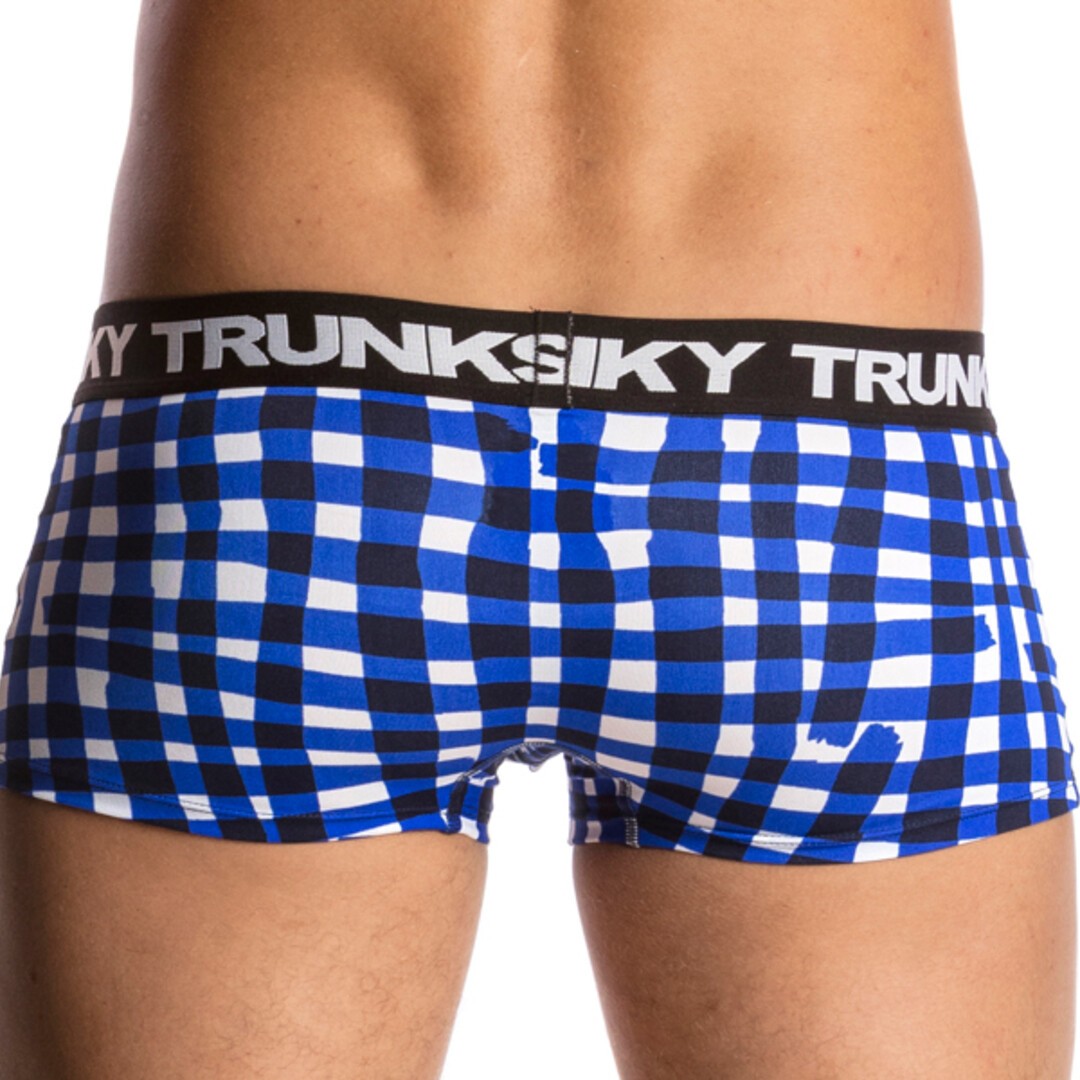 Checkin In Men's Underwear Trunks